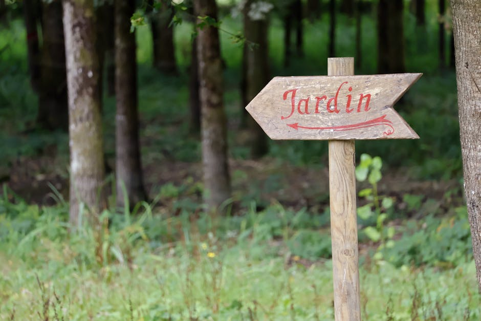 copeaux de bois dans le jardin