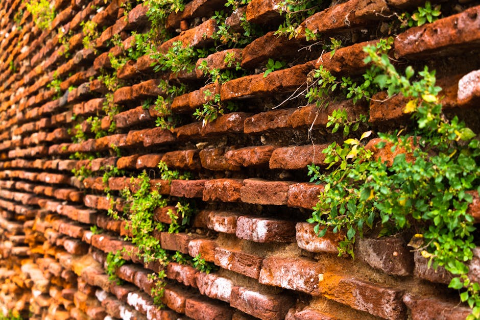 mur végétal extérieur sur grillage