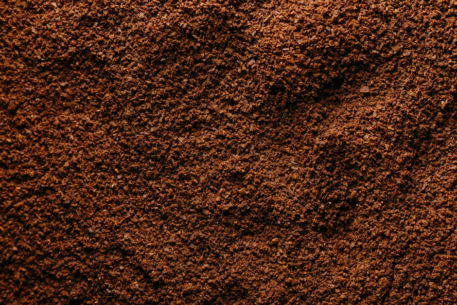 marc de café potager